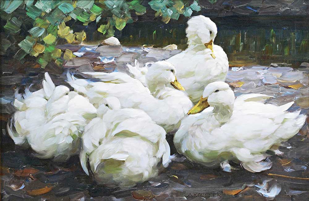 Alexander Koester Beş Beyaz Ördek