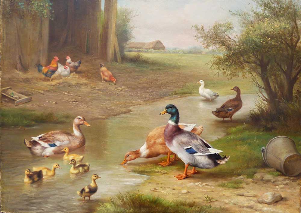 Edgar Hunt Tavuklar Ördekler ve Yavruları