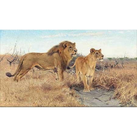 Friedrich Wilhelm Kuhnert Afrika Düzlüklerinde Aslanlar