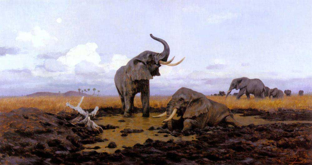Friedrich Wilhelm Kuhnert Gün doğumunda Filler