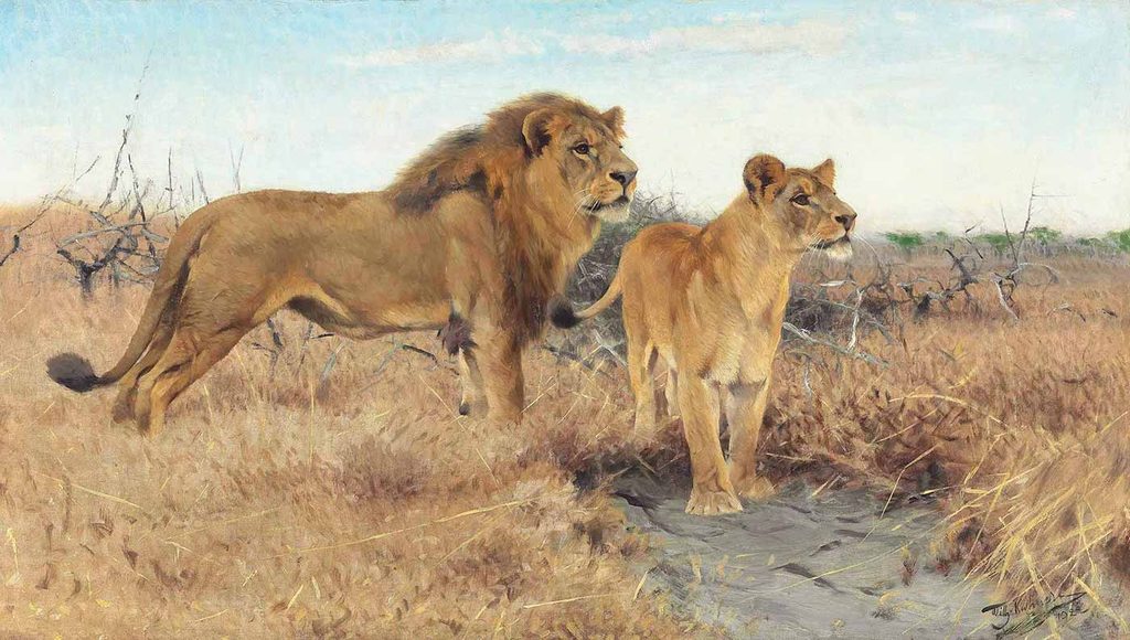 Friedrich Wilhelm Kuhnert Afrika Düzlüklerinde Aslanlar