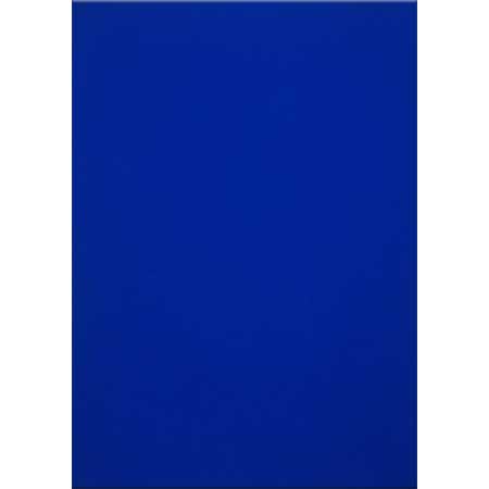 Yves Klein Mavi Monokrom