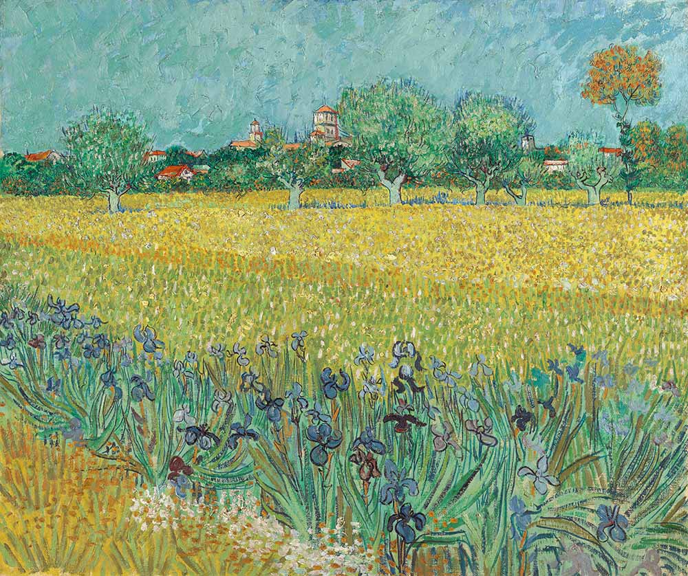 Vincent van Gogh Arles'e Bakış ve Süsenler