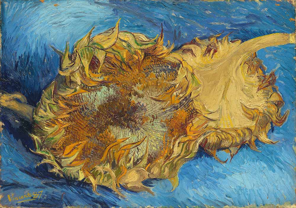 Vincent van Gogh Ayçiçekleri