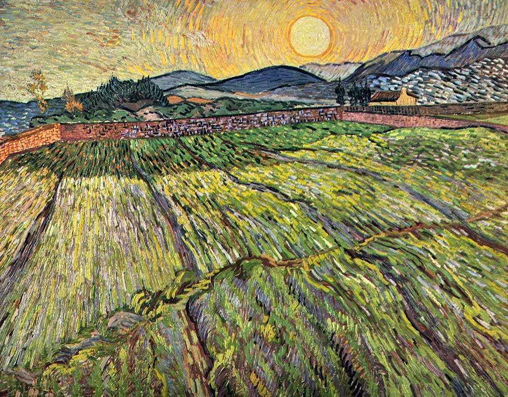 Vincent van Gogh Çiçeklenmiş Tarlalar