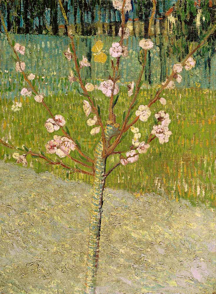 Vincent van Gogh Çiçekli Şeftali Ağacı