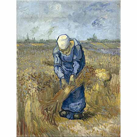 Vincent van Gogh Çiftçi Kadın Ekinleri Bağlarken