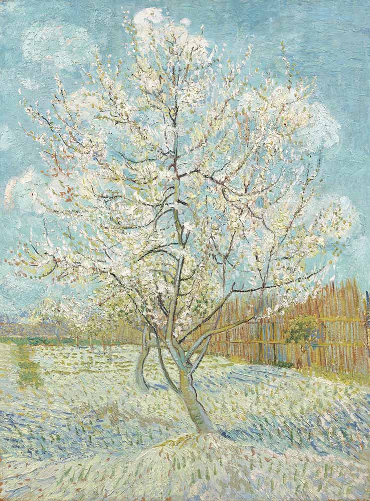 Vincent van Gogh Pembe Şeftali Ağacı