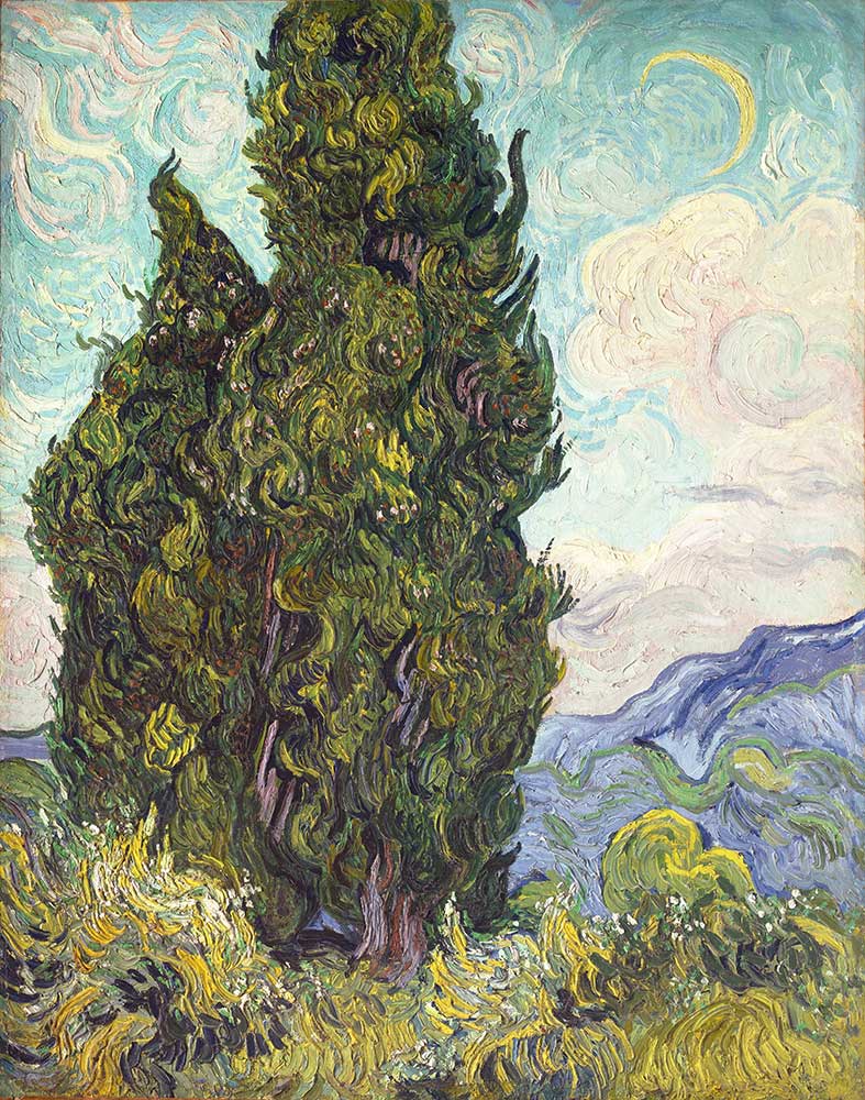 Vincent van Gogh Selviler