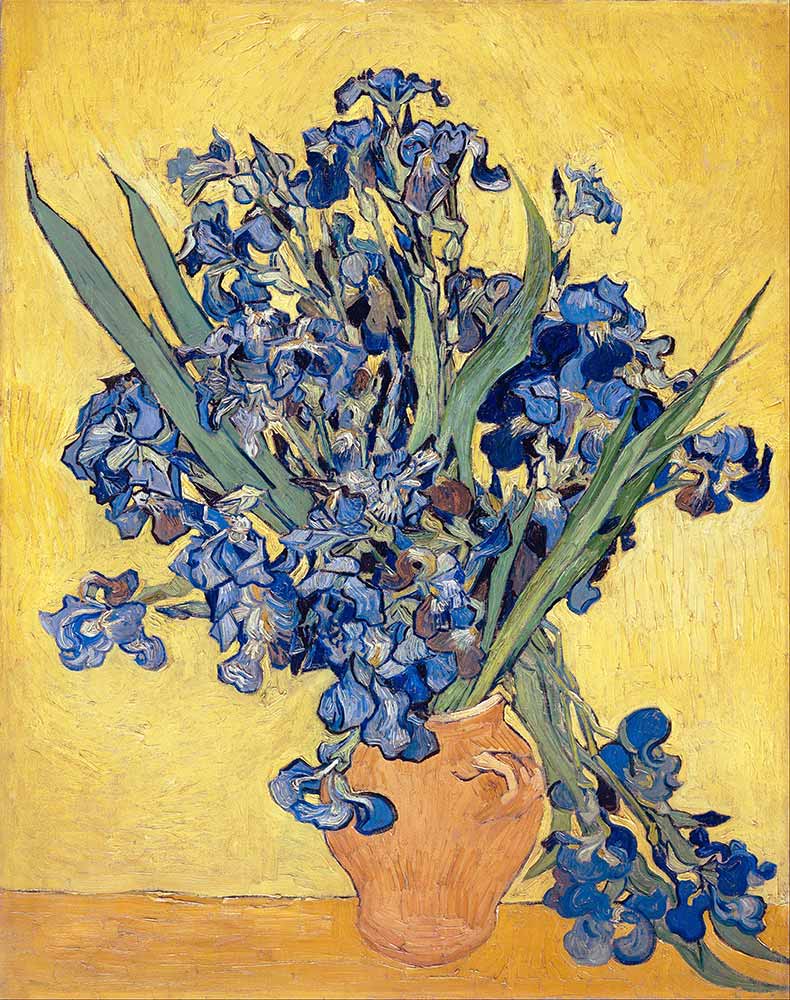 Vincent van Gogh Süsenler