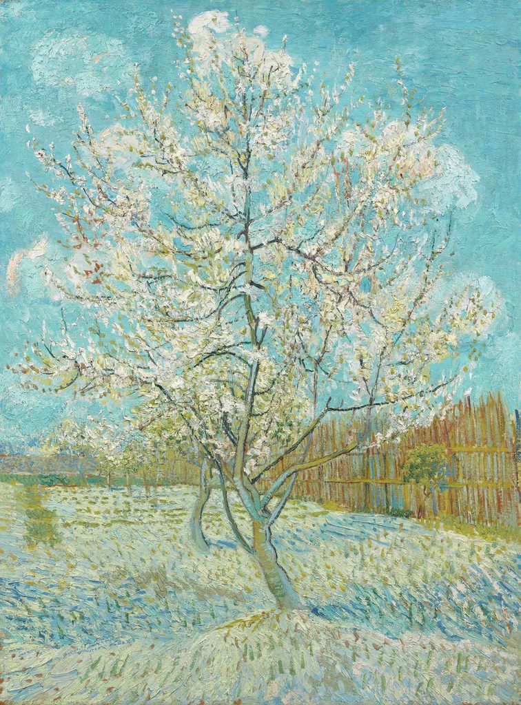 Vincent van Gogh Pembe Şeftali Ağacı