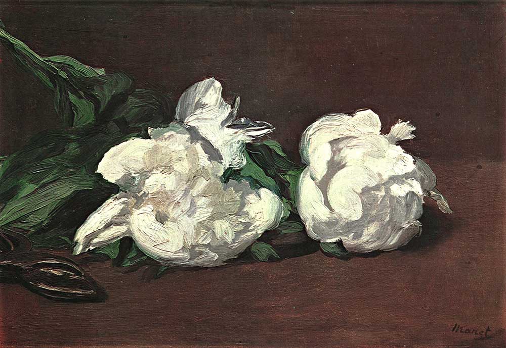 Edouard Manet Beyaz Manolyalar