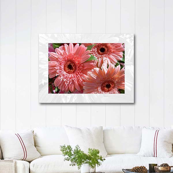 A Bouquet of Gerbera