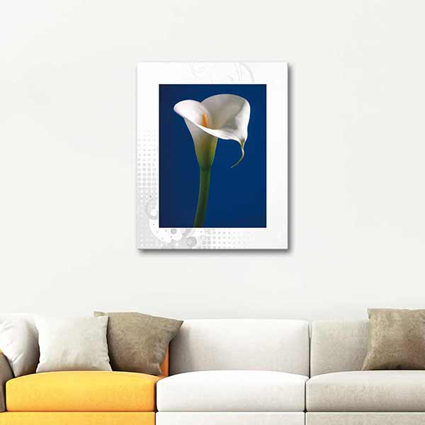 Calla Lily in Dark Blue