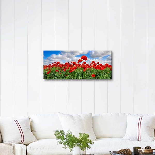 Poppy Field