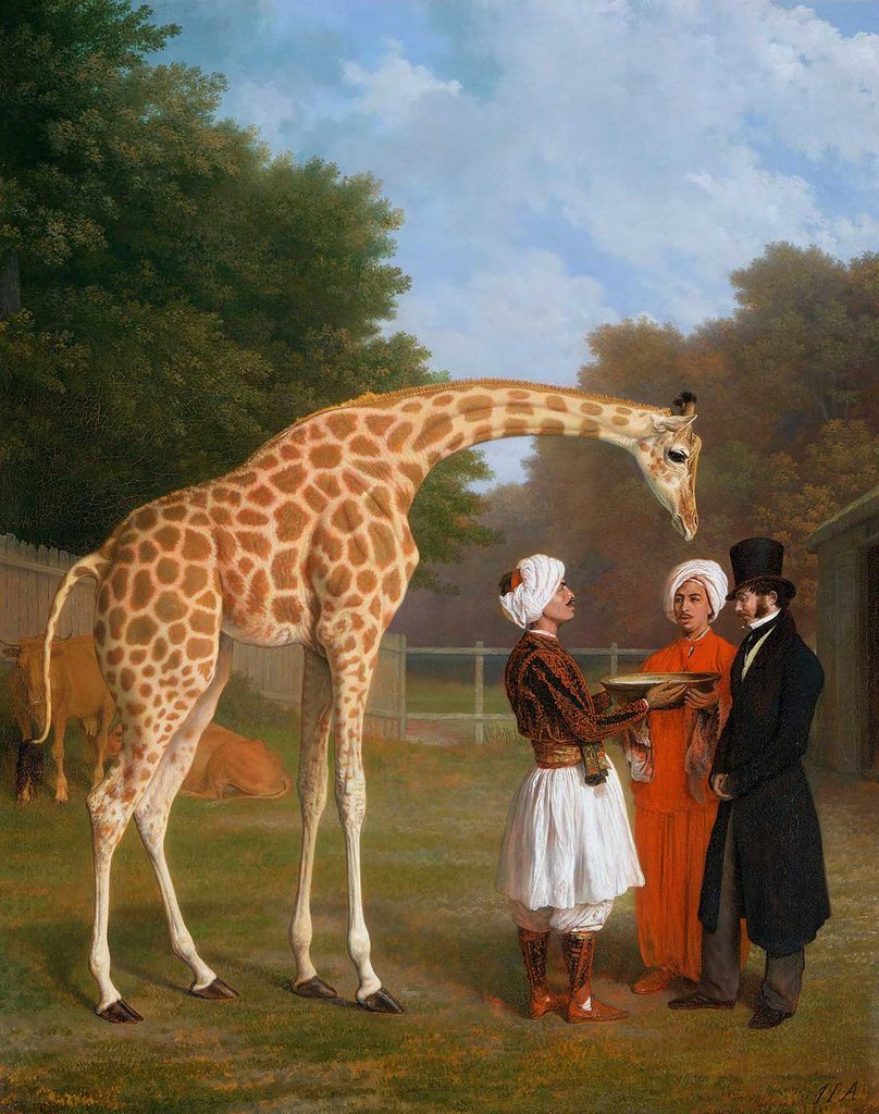 Jacques Laurent Agasse Nübye Zürafası