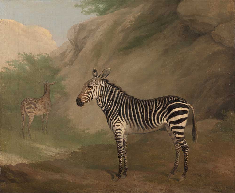Jacques Laurent Agasse Zebra