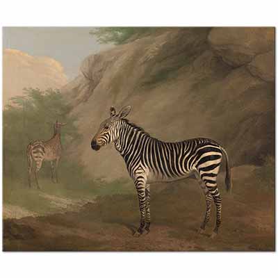 Jacques Laurent Agasse Zebra