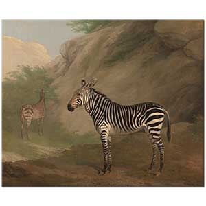 Jacques Laurent Agasse Zebra