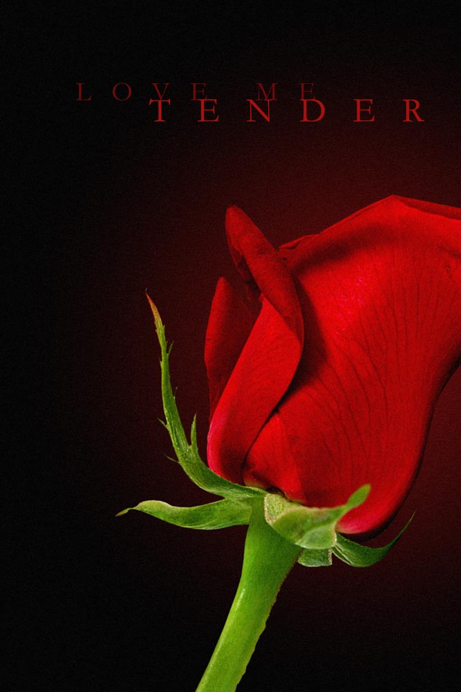 Onur Sezgin Love me Tender