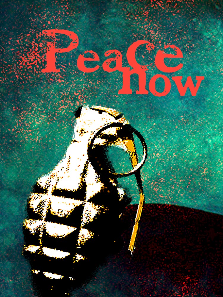 Onur Sezgin Peace Now