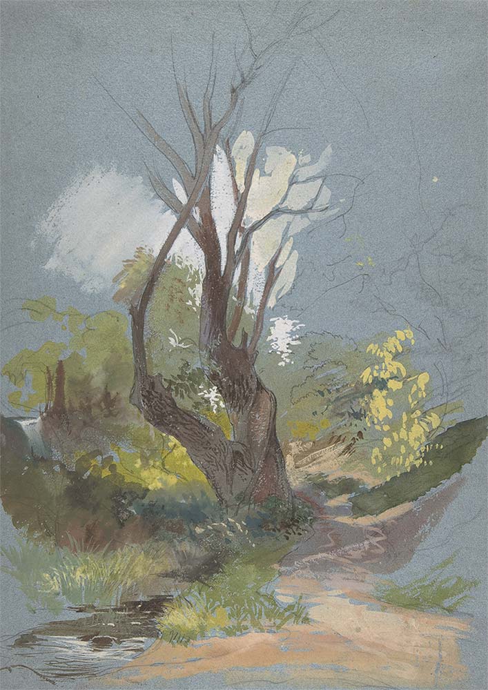 Friedrich Paul Nerly Dağ Yolundaki Ağaç