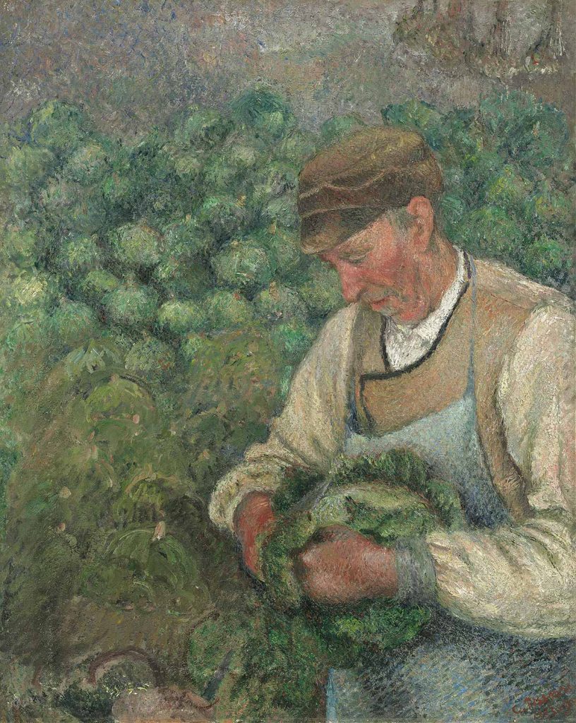 Camille Pissarro Lahana Ayıklayan Yaşlı Bahçıvan