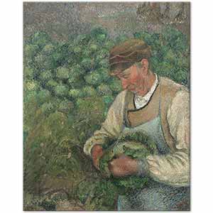 Camille Pissarro Lahana Ayıklayan Yaşlı Bahçıvan
