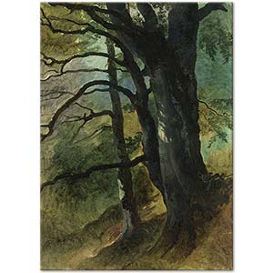 Friedrich Gauermann Ormandan Bir Kesit