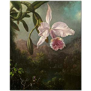 Martin Johnson Heade Orkide Çiçeği