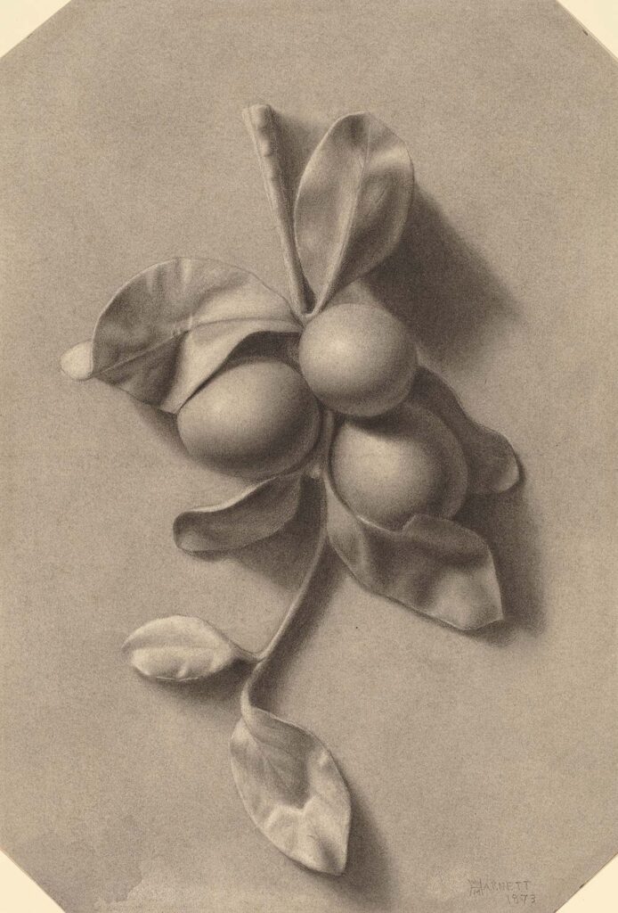 William Michael Harnett Erik Dalı