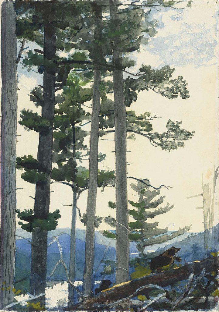 Winslow Homer Eski Yerleşimciler