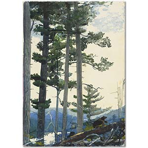 Winslow Homer Eski Yerleşimciler