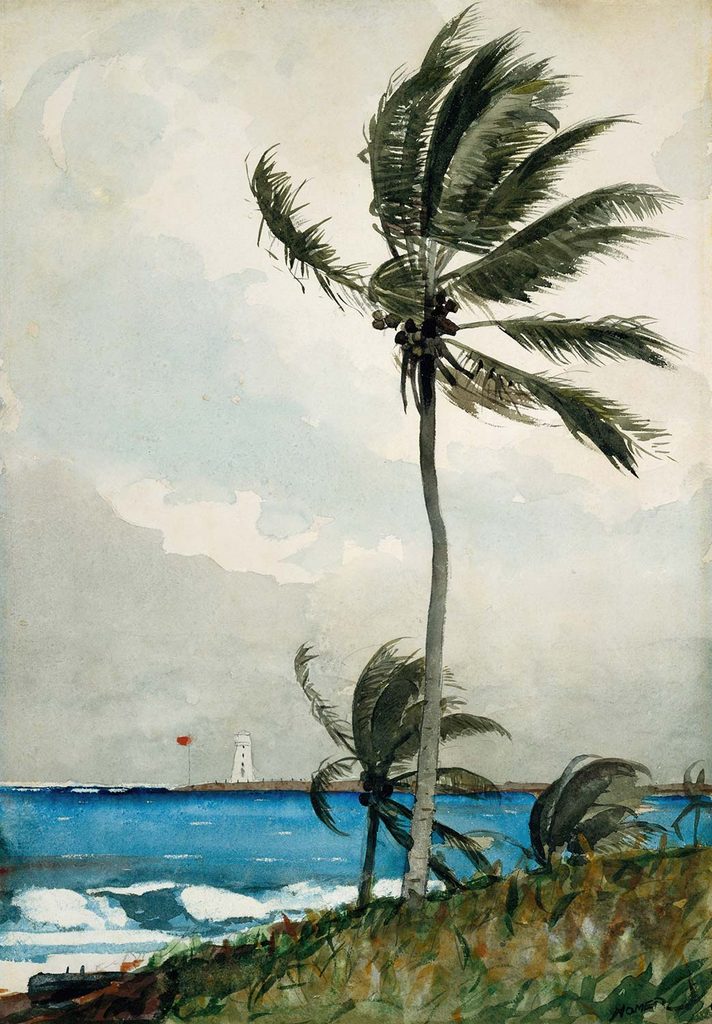 Winslow Homer Palmiye Ağacı Nassau
