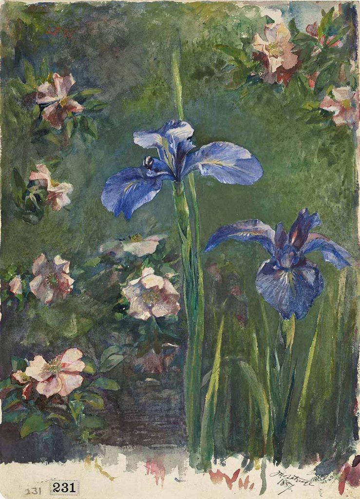 John La Farge Yabani Güller ve Süsenler