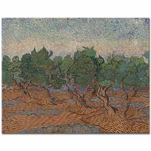 Vincent van Gogh Zeytinlikte Ağaçlar