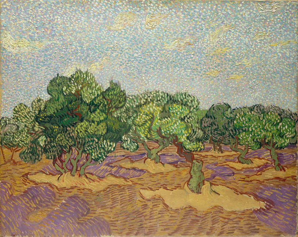 Vincent van Gogh Tarlada Zeytin Ağaçları