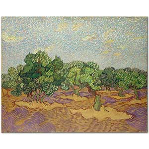 Vincent van Gogh Tarlada Zeytin Ağaçları