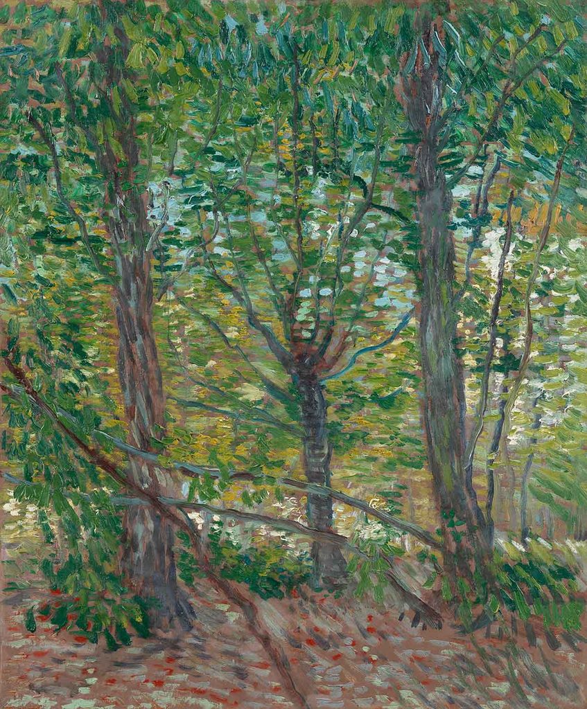 Vincent van Gogh Orman ve Zemini