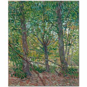 Vincent van Gogh Orman ve Zemini