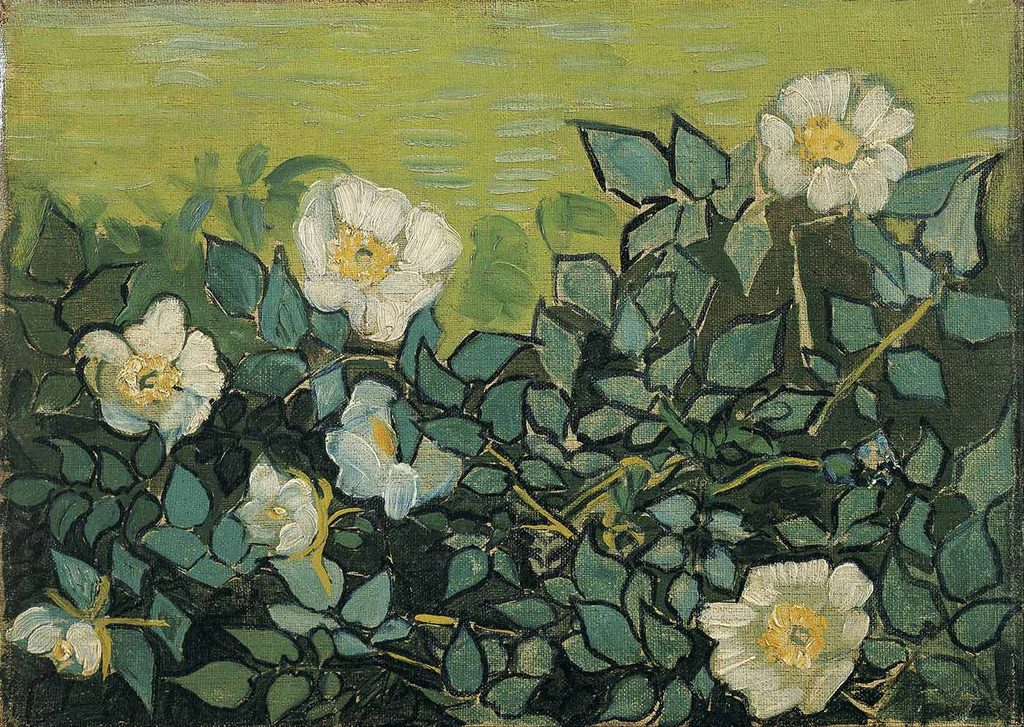 Vincent van Gogh Yabani Güller