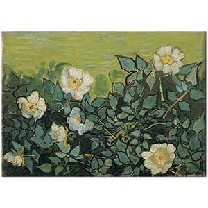 Vincent van Gogh Yabani Güller