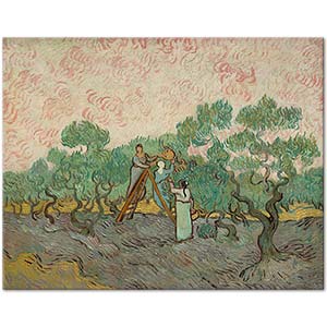 Vincent van Gogh Zeytin Toplayan Kadınlar
